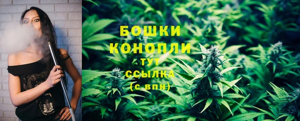 соль ск Гусев