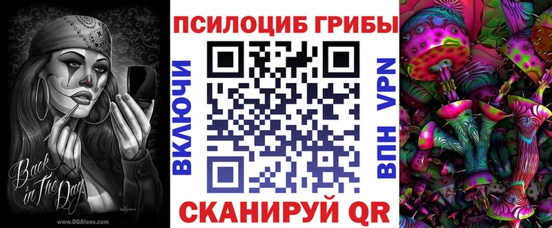 купить  сайты  Грозный  Галлюциногенные грибы Psilocybe 