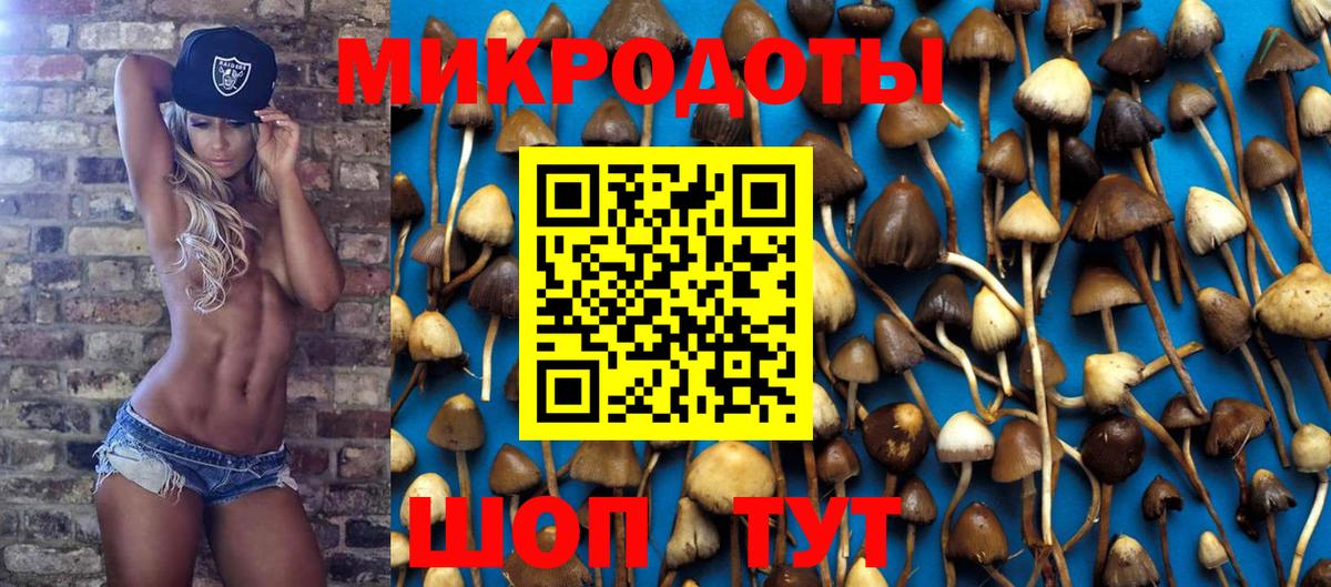 Галлюциногенные грибы MAGIC MUSHROOMS Грозный