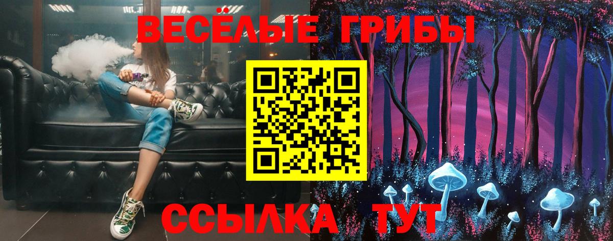Галлюциногенные грибы Psilocybe  Псилоцибиновые грибы GOLDEN TEACHER  Вход с VPN  Грозный 